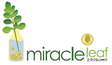 miracle leaf