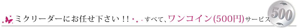 ミクリーダーにお任せ下さい！！すべて、ワンコイン(500円)サービス